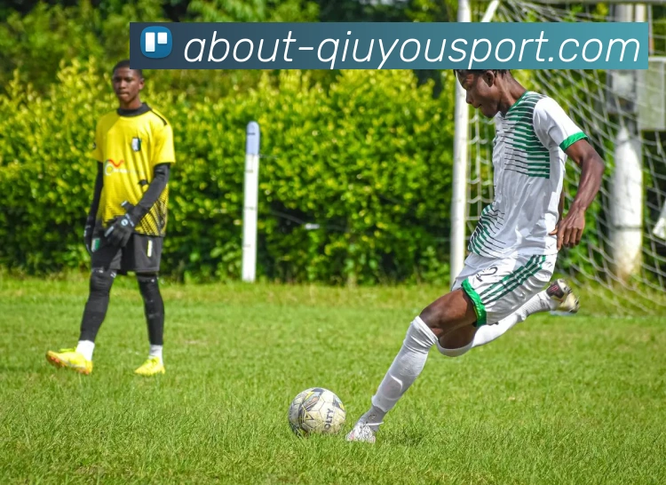 英超球队传球高效的战术与比赛分析